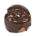 bossche bol